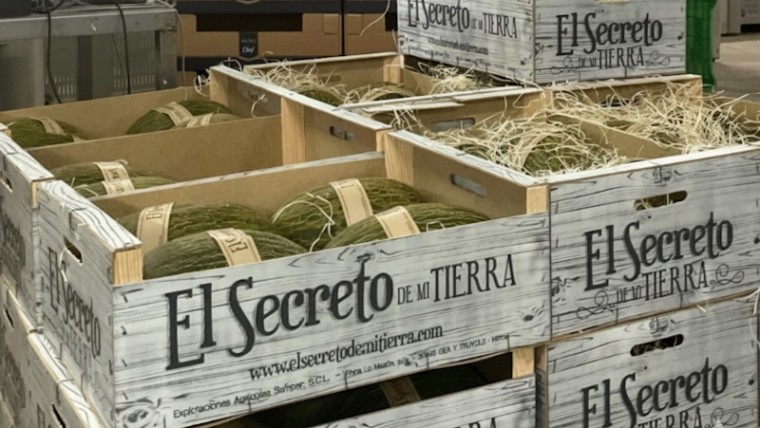 El Secreto de Mi Tierra