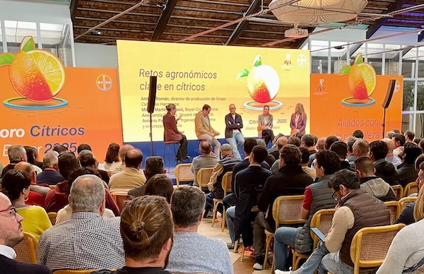 Bayer plagas cítricos