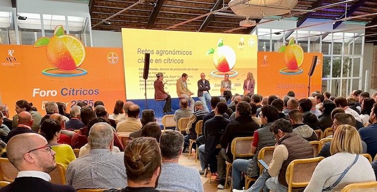 Bayer plagas cítricos