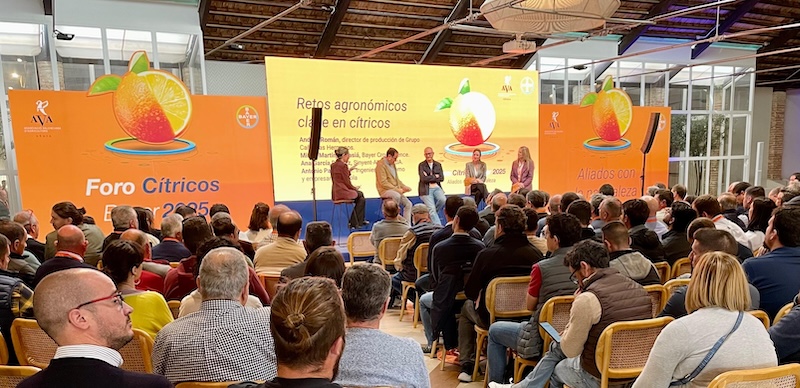 Bayer plagas cítricos