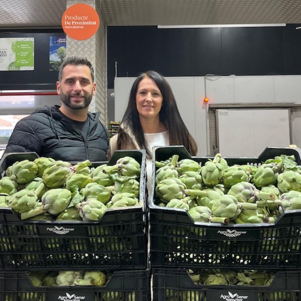 mayoristas Green Queen