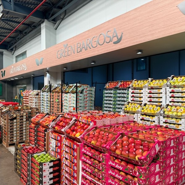 Green Bargosa Valencia