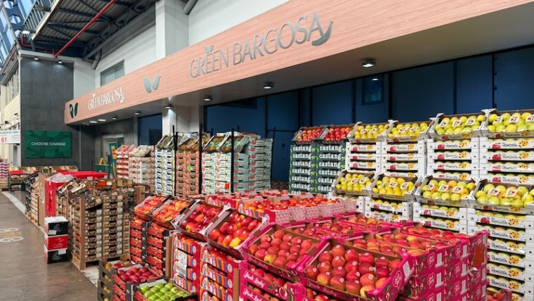 Green Bargosa Valencia