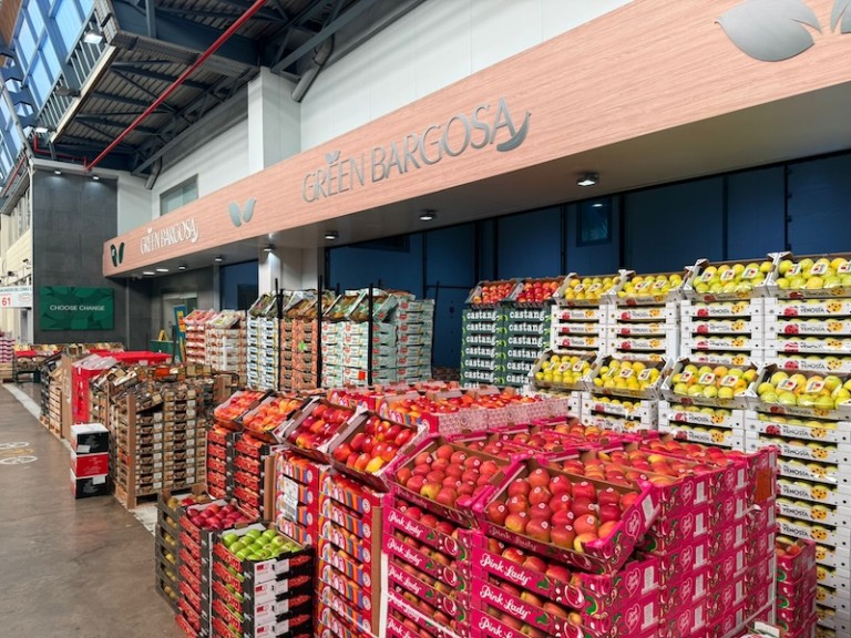 Green Bargosa Valencia