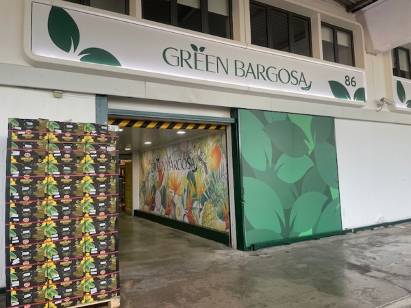 Green Bargosa Valencia