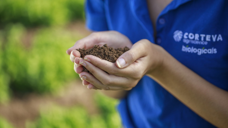 Corteva