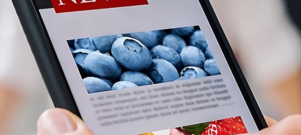 Hortifrut atención al cliente