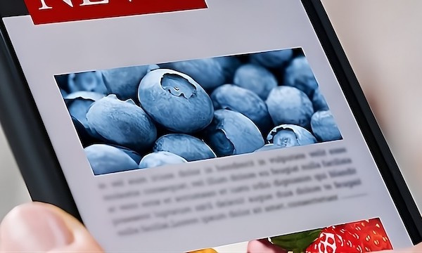 Hortifrut atención al cliente