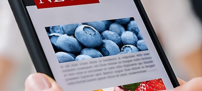 Hortifrut atención al cliente