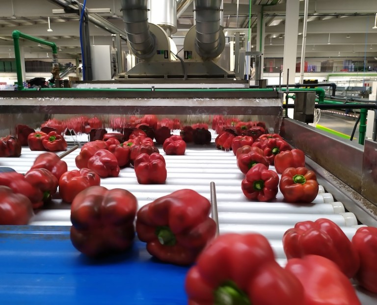 Citrosol postcosecha