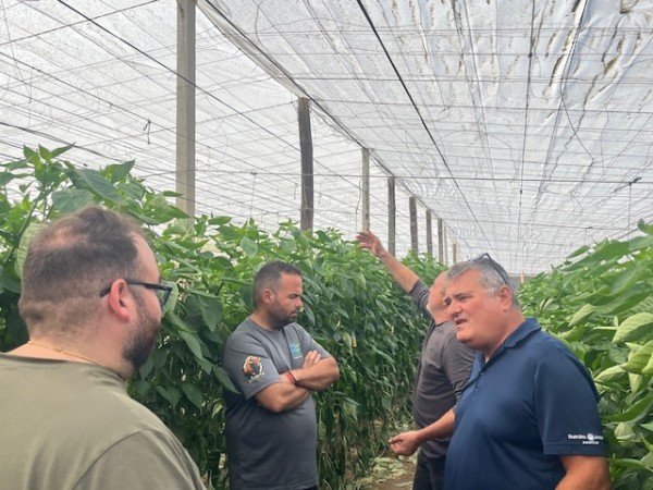 Ramiro Arnedo pimiento italiano