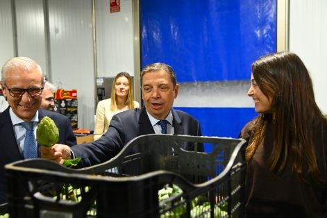 mayoristas frutas hortalizas