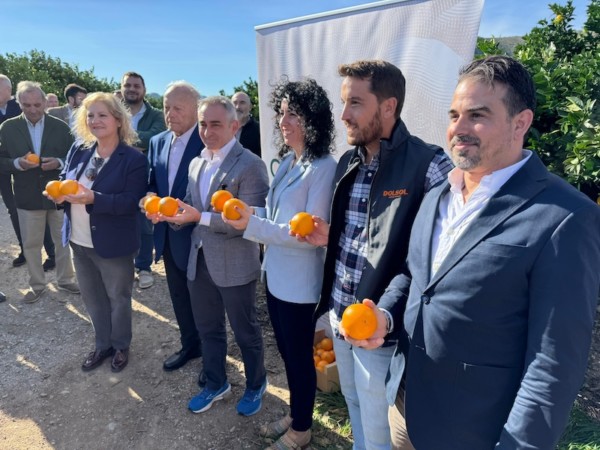 IGP Cítricos Valencianos.