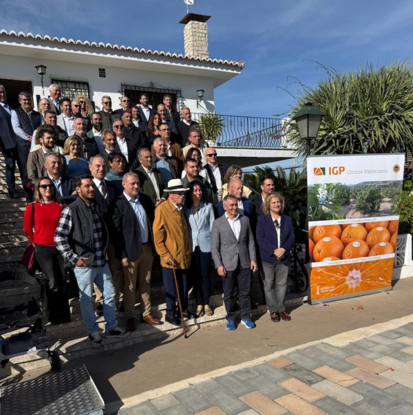 IGP Cítricos Valencianos