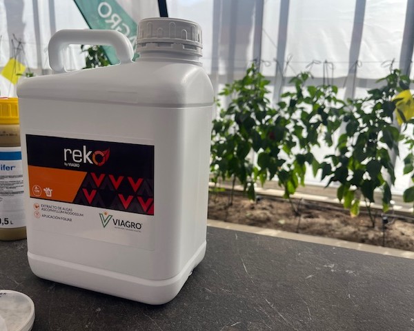 Reko Velifer control de plagas