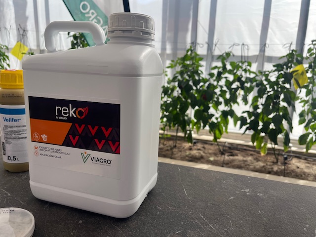 Reko Velifer control de plagas