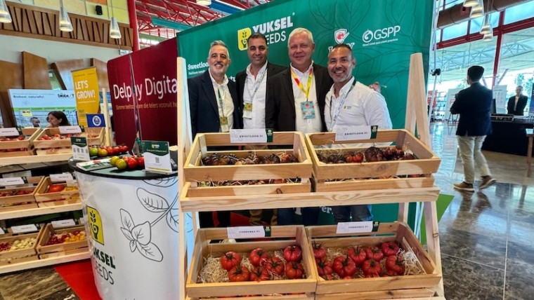 Yuksel tomato congress
