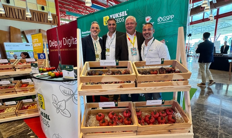 Yuksel tomato congress