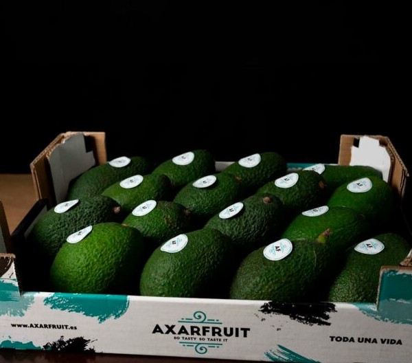 Axarfruit facturación