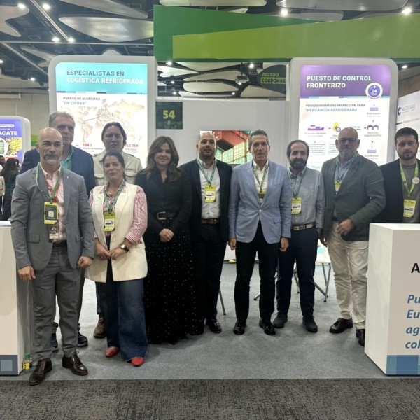 Puerto de Algeciras aguacate