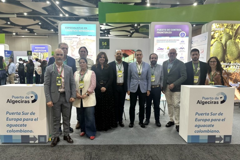 Puerto de Algeciras aguacate