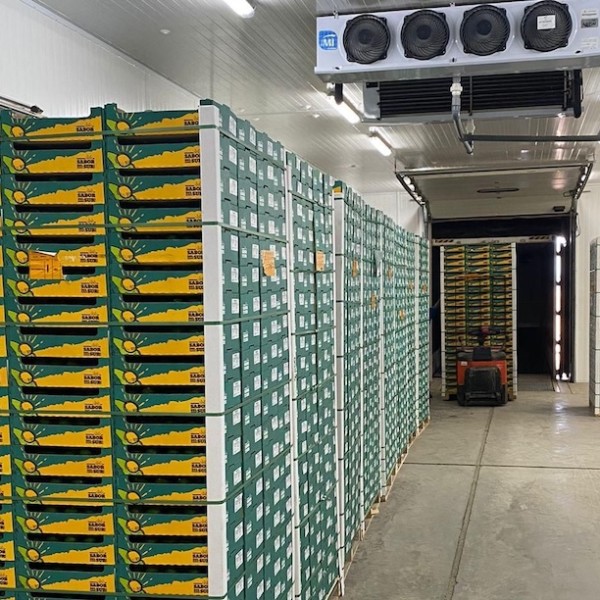 Alcoaxarquía Perpiñán