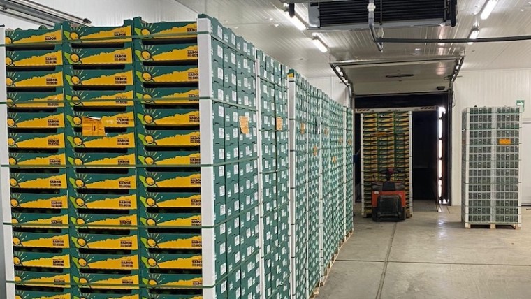 Alcoaxarquía Perpiñán