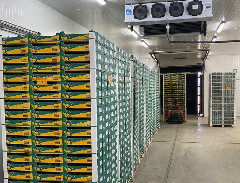 Alcoaxarquía Perpiñán