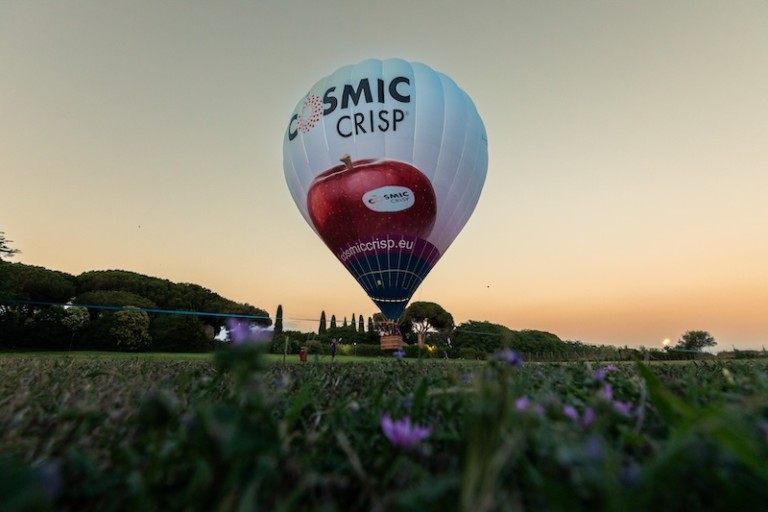 Cosmic Crisp manzana