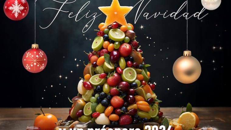 Felicitación Navidad