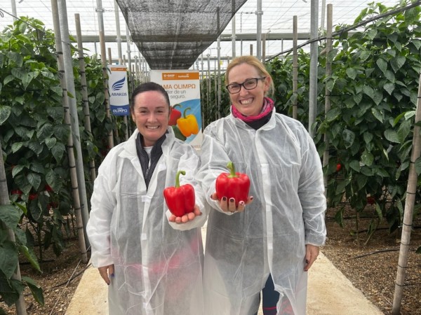 Nunhems pimiento California