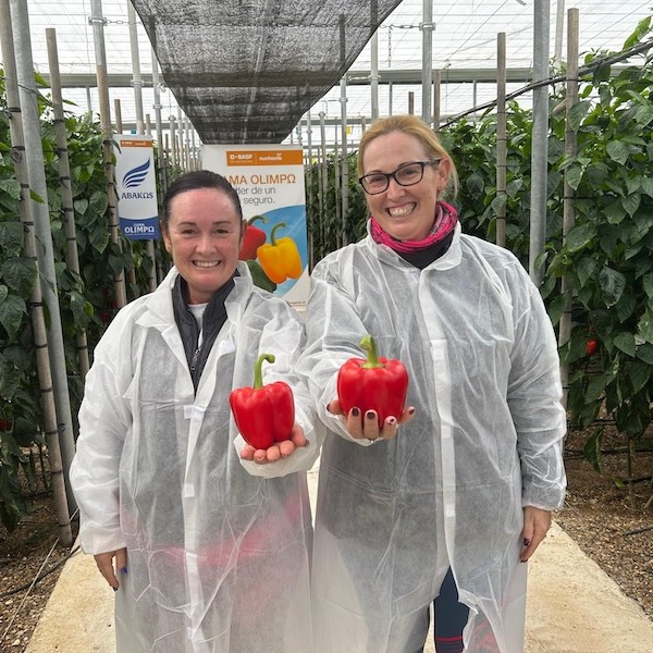 Nunhems pimiento California