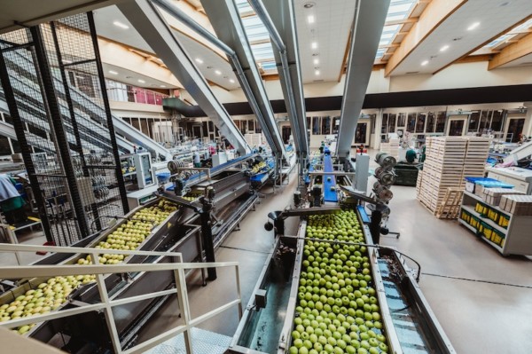 Val Venosta manzanas