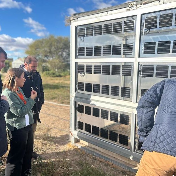agricultura fotovoltaica