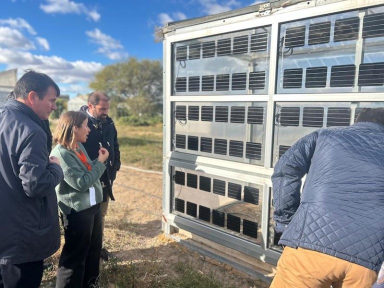 agricultura fotovoltaica