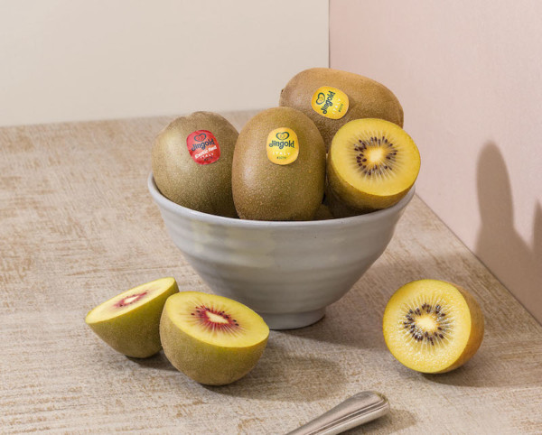 Jingold kiwi amarillo