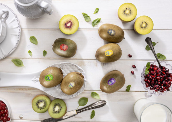 Jingold kiwi amarillo