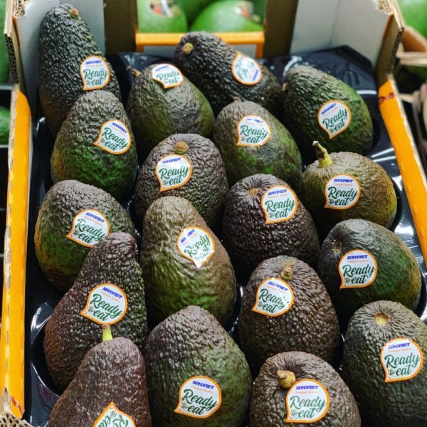 Novofrut subtropicales