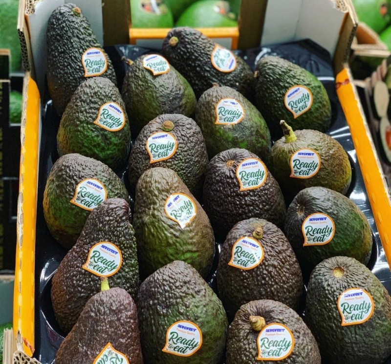 Novofrut subtropicales