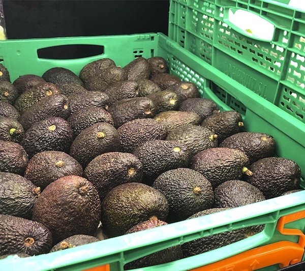 aguacate Mercadona