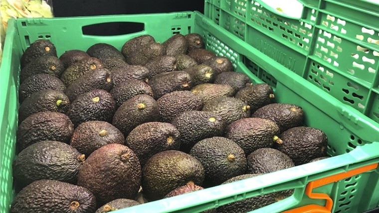 aguacate Mercadona