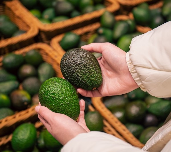 aguacate en Alemania