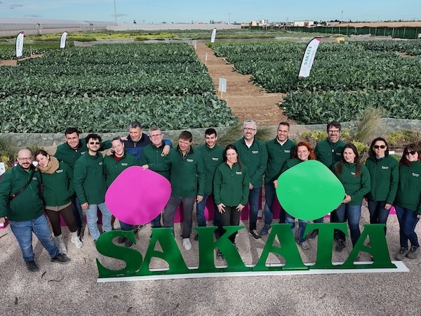 Brassicas Winter Days de Sakata2026