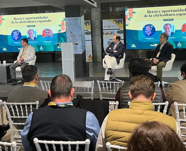 Sorry! Image not available at this time