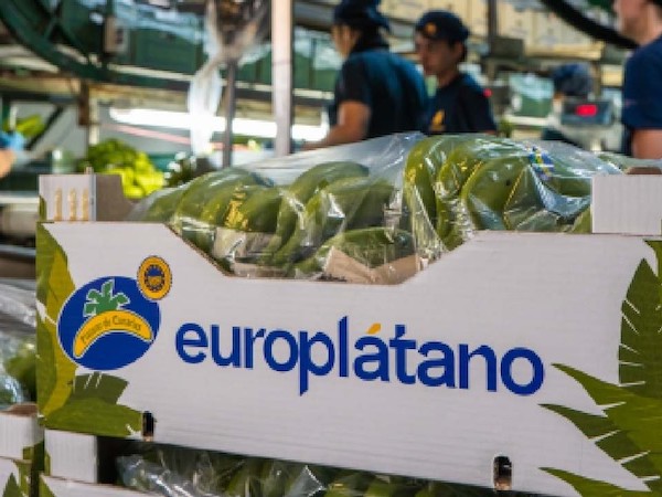Europlátano IFS Food