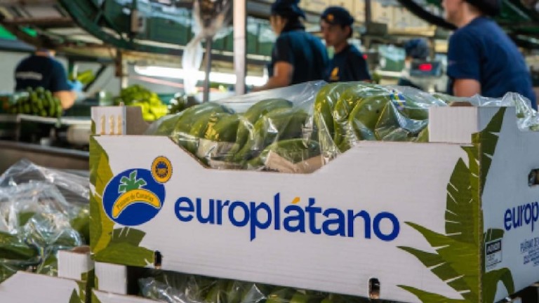Europlátano IFS Food