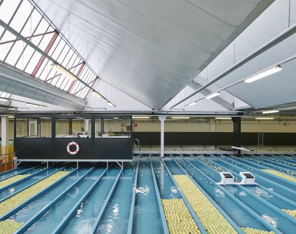 VIP Val Venosta manzanas ecológicas