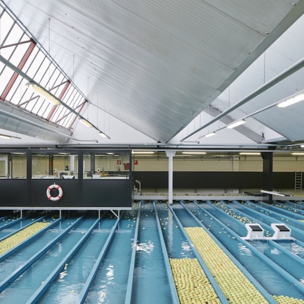 VIP Val Venosta manzanas ecológicas