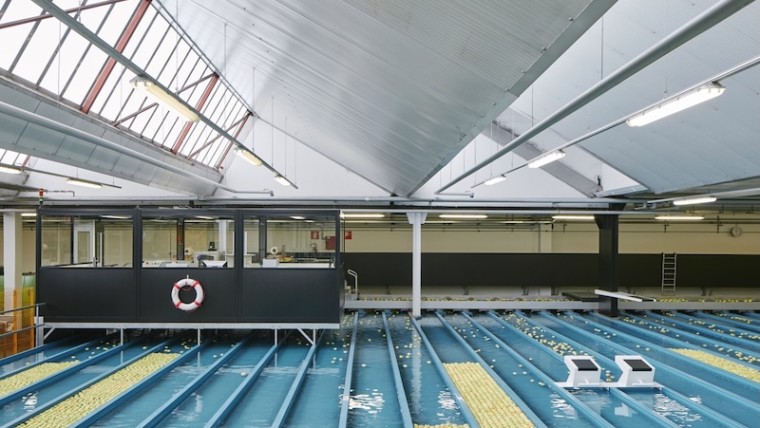 VIP Val Venosta manzanas ecológicas