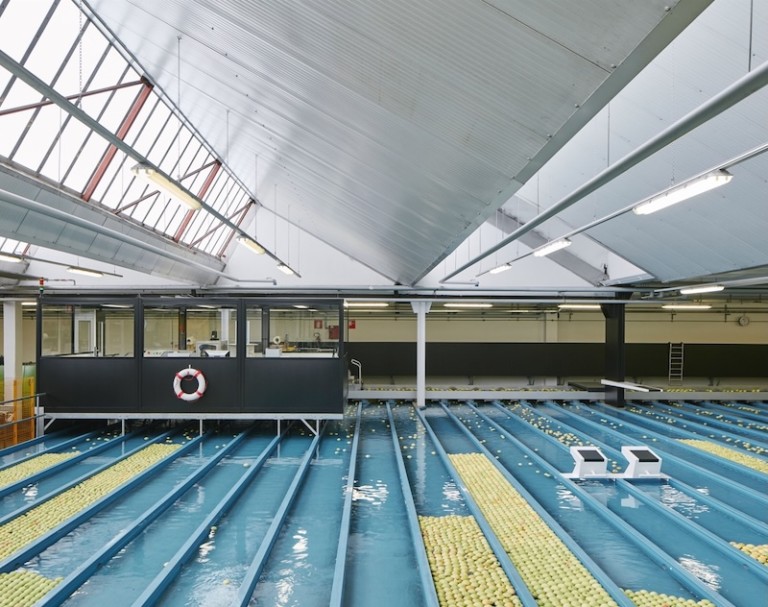 VIP Val Venosta manzanas ecológicas